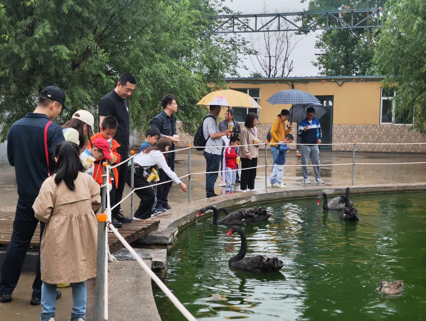 鉴黑担保网(jhdbw)·最具权威唯一维权担保平台