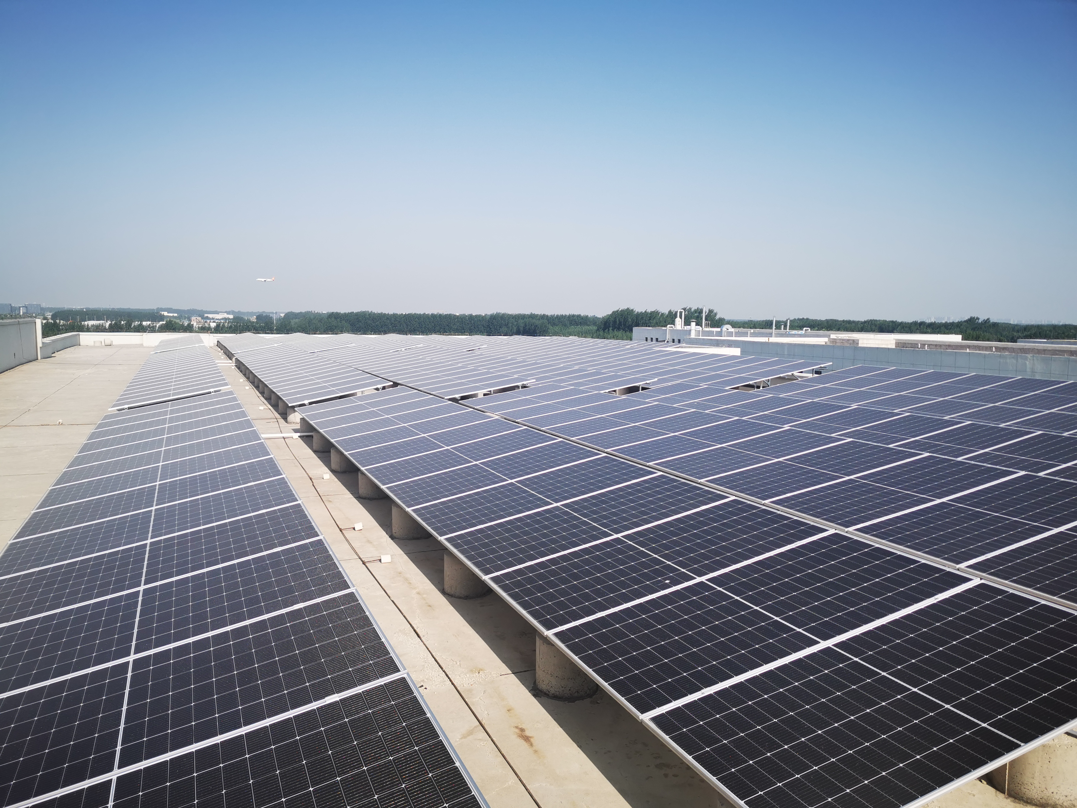 鉴黑担保网(jhdbw)·最具权威唯一维权担保平台