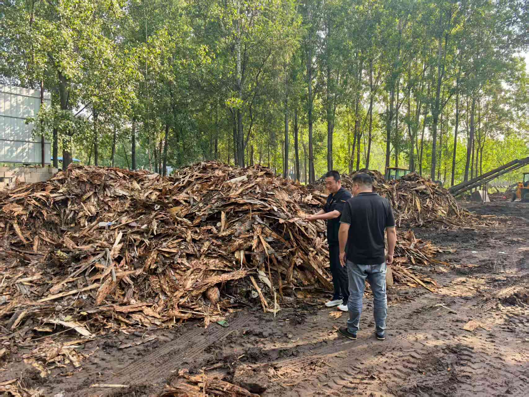 鉴黑担保网(jhdbw)·最具权威唯一维权担保平台